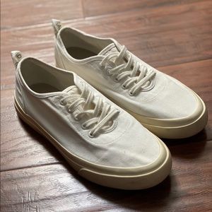 Everlane Forever Sneaker White Canvas